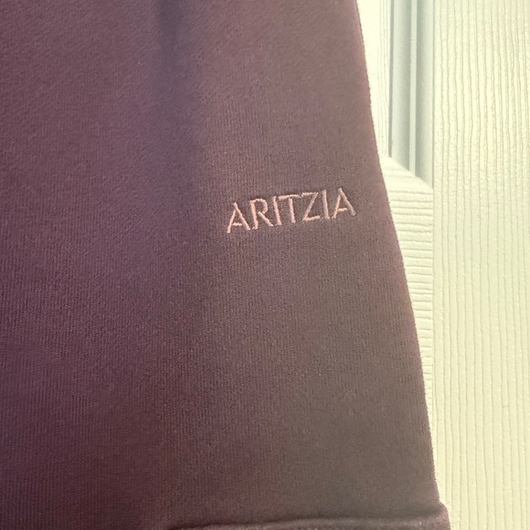 Aritzia Cozy Sweatfleece Mega Cargo Jogger - Picture 5 of 6